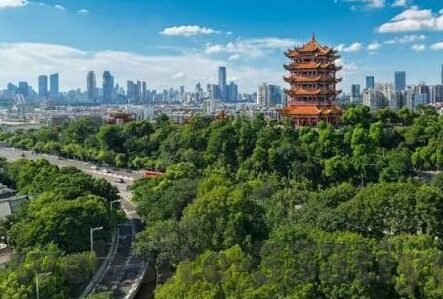 足球旧版比分直播-足球旧版比分直播，岁月里的绿茵记忆回响